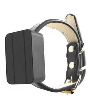 Dog GPS Tracker