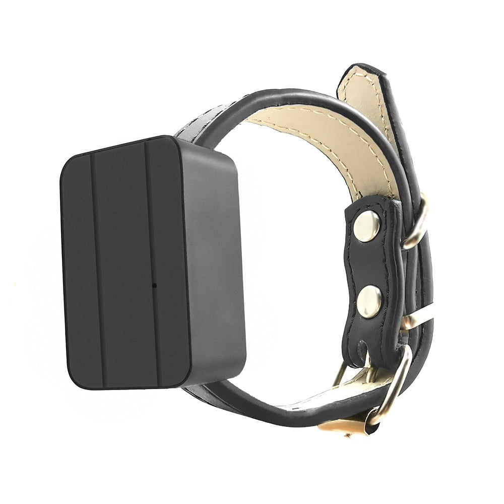 Dog GPS Tracker